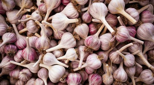 Fokhagyma tárolása: így marad sokáig aromás és ép
