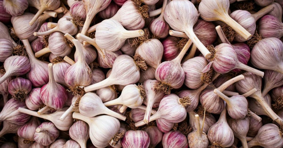 Fokhagyma tárolása: így marad sokáig aromás és ép