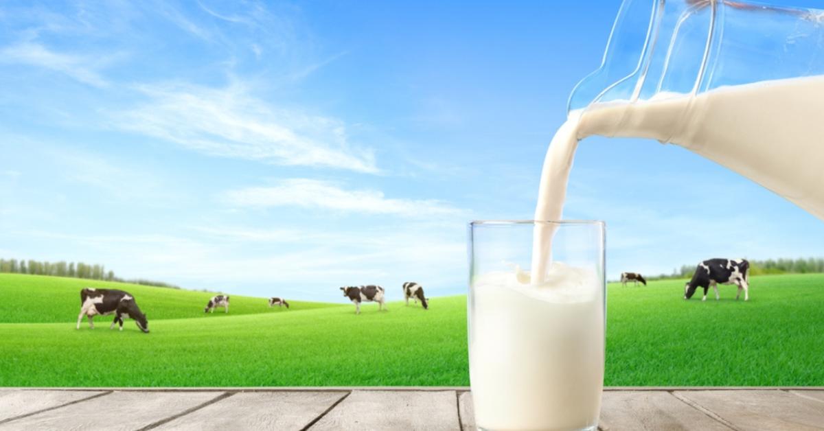 Ez az oka, ha hamar megromlik a tej – de így hozhatod helyre Ez az oka, ha hamar megromlik a tej – de így hozhatod helyre