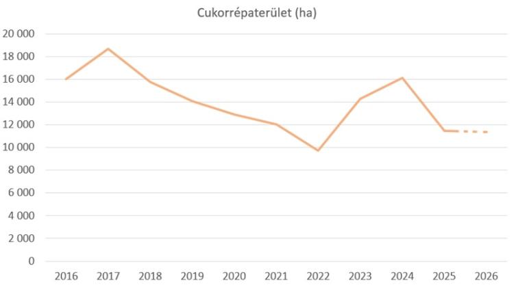 Magyarországi cukorrépa-terület (ha)