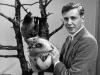 Üreges műökör és kötéltechnika: így fotózott a vadonban a 100 éves Sir David Attenborough mentora