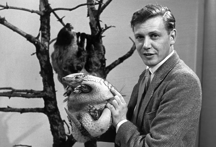 sir david
