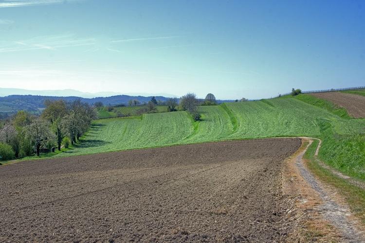 időjárás