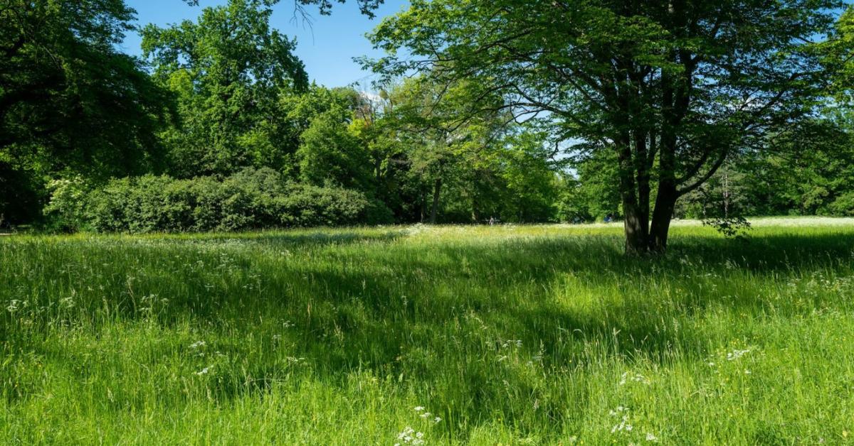Vágatlan május: a módszer, amivel úgy spórolhatsz az üzemanyagon, hogy közben a kerted is szebb lesz