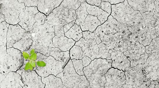 Veszélyesen gyorsul a Föld felmelegedése