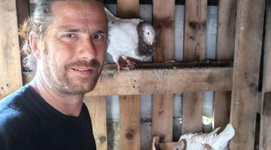 Többet tudnak, mint a hibridek? Ezért választotta egy fiatal tenyésztő a magyar tyúkokat Többet tudnak, mint a hibridek? Ezért választotta egy fiatal tenyésztő a magyar tyúkokat