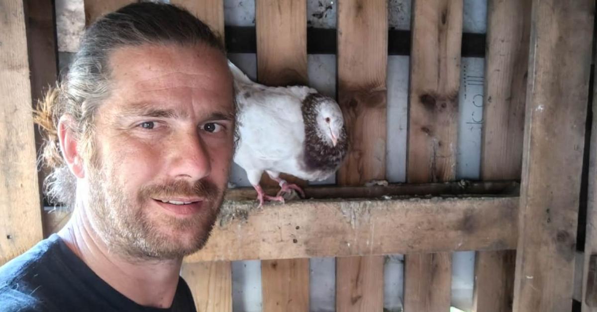 Többet tudnak, mint a hibridek? Ezért választotta egy fiatal tenyésztő a magyar tyúkokat