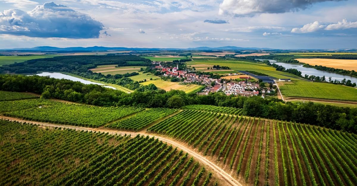 Beiktatás előtt: Kiderült, hogyan védené meg a magyar piacot Bóna Szabolcs Beiktatás előtt: Kiderült, hogyan védené meg a magyar piacot Bóna Szabolcs
