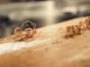 Gyilkos fűrészpor helyett: technológiai forradalom zajlik a műhelyekben