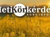 Pillanatképek és tanulságok a repceföldekről – Heti Körkérdés