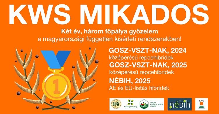 körkérdés