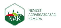 beinár