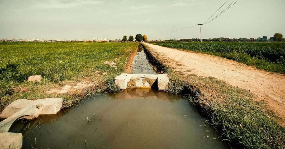 OECD-jelentés: sürgető az alkalmazkodás a magyar vízgazdálkodásban OECD-jelentés: sürgető az alkalmazkodás a magyar vízgazdálkodásban