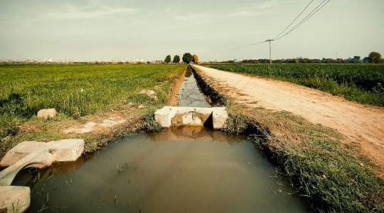 OECD-jelentés: sürgető az alkalmazkodás a magyar vízgazdálkodásban OECD-jelentés: sürgető az alkalmazkodás a magyar vízgazdálkodásban