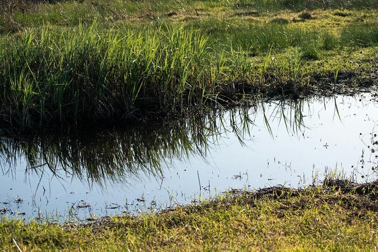 vízgazdálkodás vízgazdálkodás
