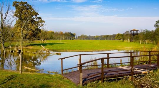 Szigorú szabályok jöhetnek a Natura 2000-es földekre – így szólhatsz bele! Szigorú szabályok jöhetnek a Natura 2000-es földekre – így szólhatsz bele!
