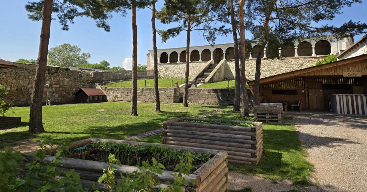 Pénznyelő lett a kerted? 7 ok, amiért a magaságyás hosszú távon veszteséges