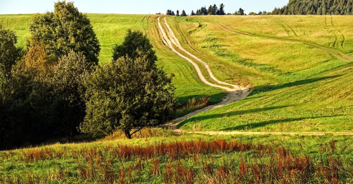 Időjárás: Záporok és zivatarok jönnek, nem is akármennyi