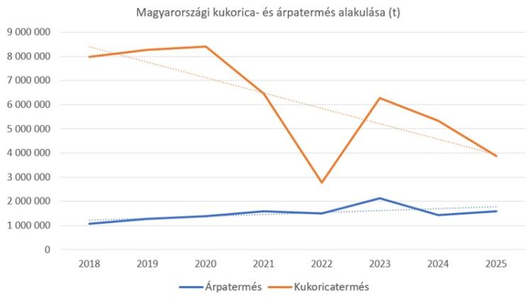 A kukorica kínálata csökken, az árpáé emelkedik A kukorica kínálata csökken, az árpáé emelkedik
