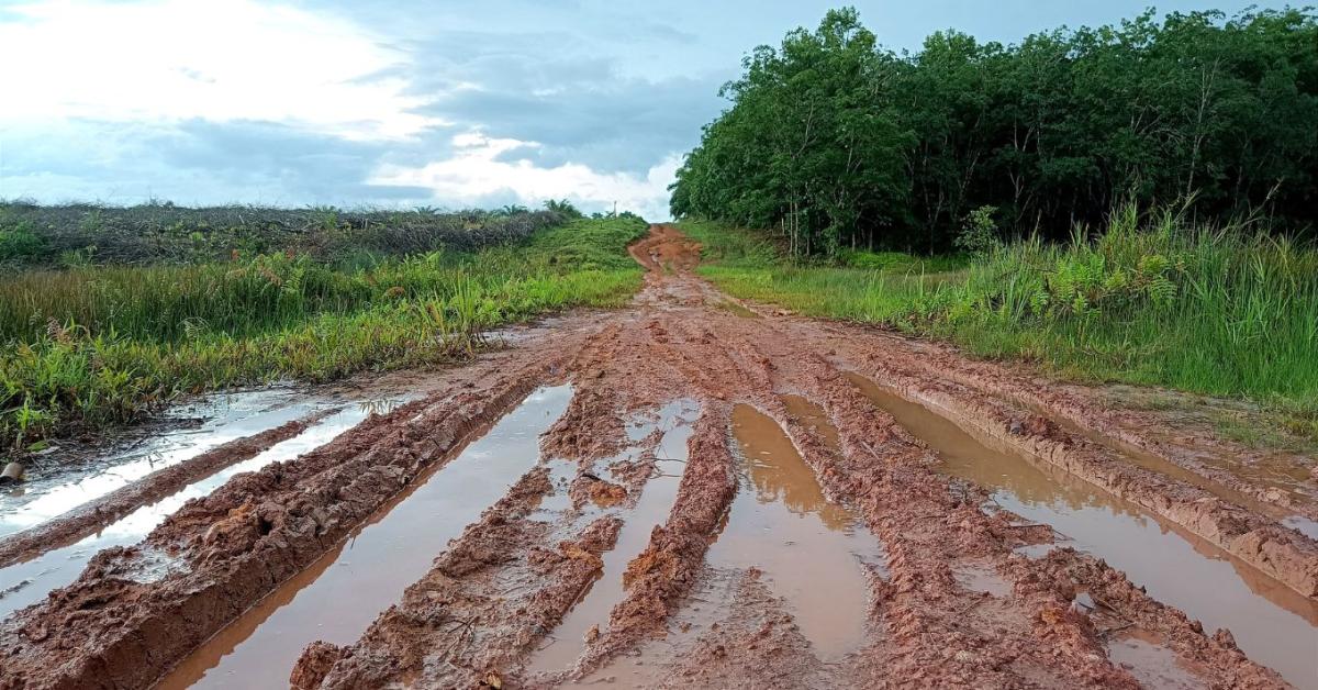 Aszály után eső, eső után veszély: új kihívás fenyegeti a termést