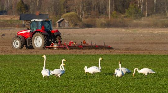 Időjárás: Folytatódik az enyhülés? + VIDEÓ