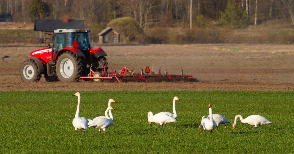 Időjárás: Folytatódik az enyhülés? + VIDEÓ