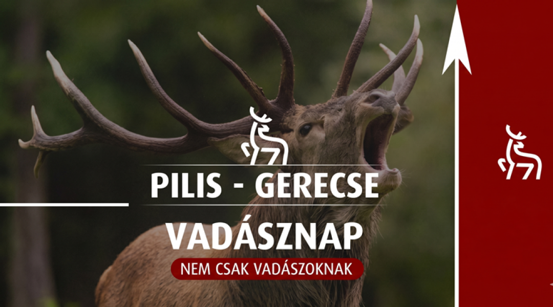 Trófeák a nagyvilágból és világ körüli utak: ilyen lesz a Pilis-Gerecse Vadásznap