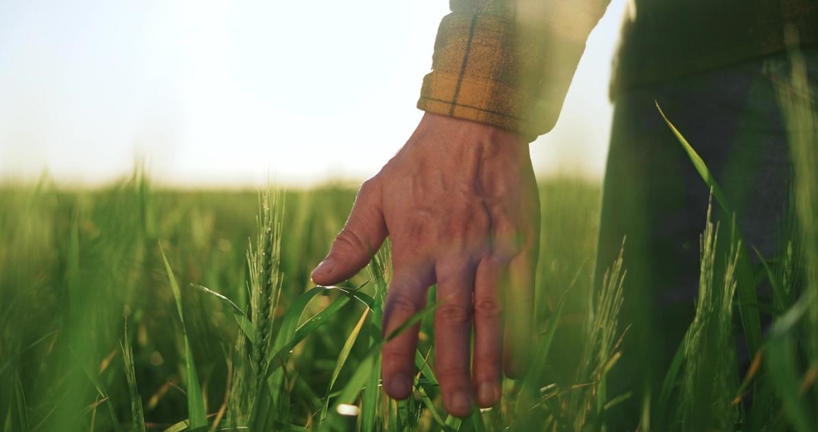 Tanulhatnánk tőlük: így védik a franciák a gazdákat