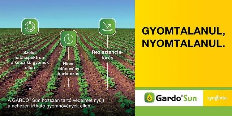 syngenta syngenta