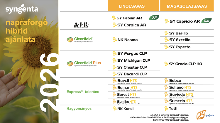 napraforgó napraforgó