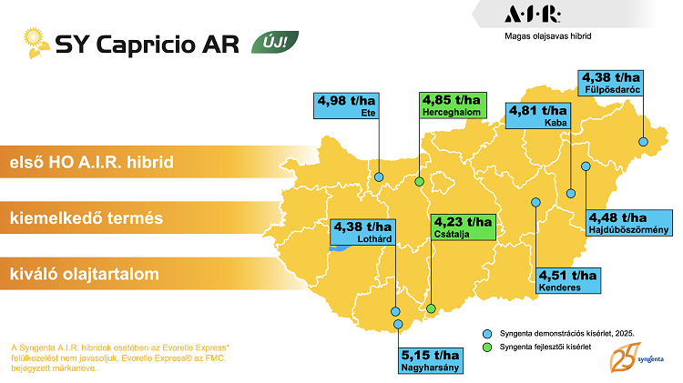 napraforgó napraforgó