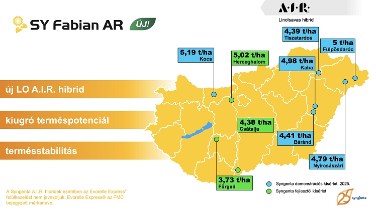 napraforgó napraforgó