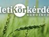 Pillanatképek és tanulságok a kalászos állományokból – Heti Körkérdés
