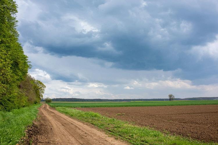 agrárjog