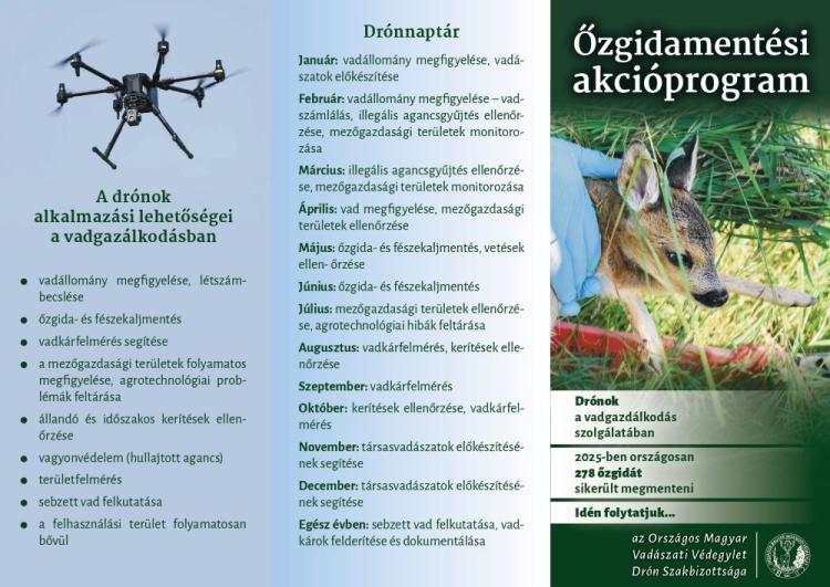 őzgida