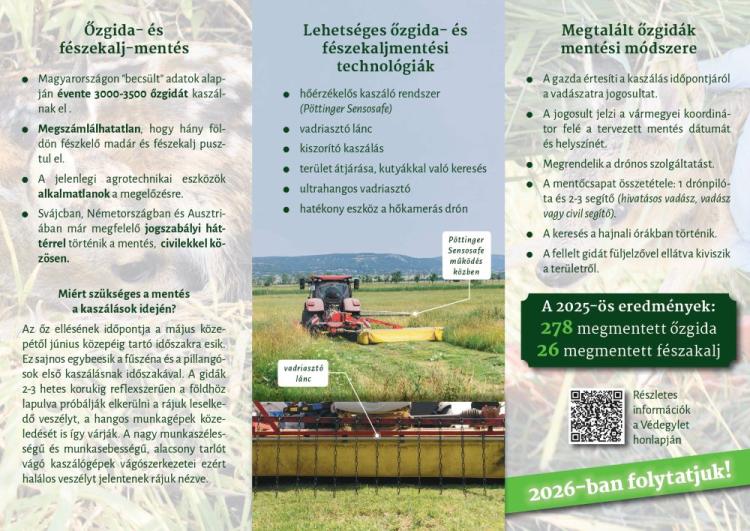 őzgida