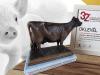 Bonafarm-Bábolna Takarmány Kft.: Nagydíjas takarmányozási innovációt mutattak be Hódmezővásárhelyen! + VIDEÓ