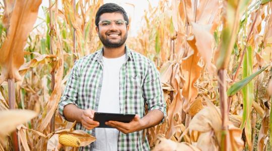 India átugrik egy lépcsőt és az élre tör az agrártechnológiában India átugrik egy lépcsőt és az élre tör az agrártechnológiában