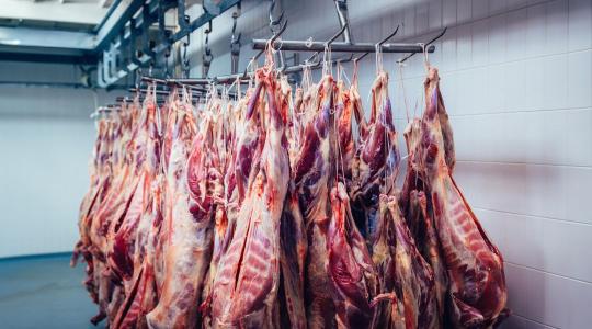 Kína lecsapott a brazil marhahúsra: tiltott hormonok miatt jött a szankció Kína lecsapott a brazil marhahúsra: tiltott hormonok miatt jött a szankció