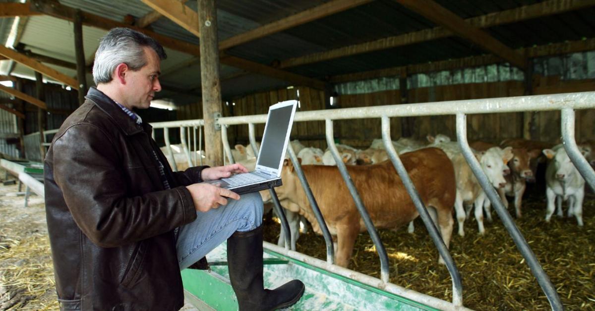 A jövő állattartása precíziós alapokra épül – a siker kulcsa pedig a szemléletváltás