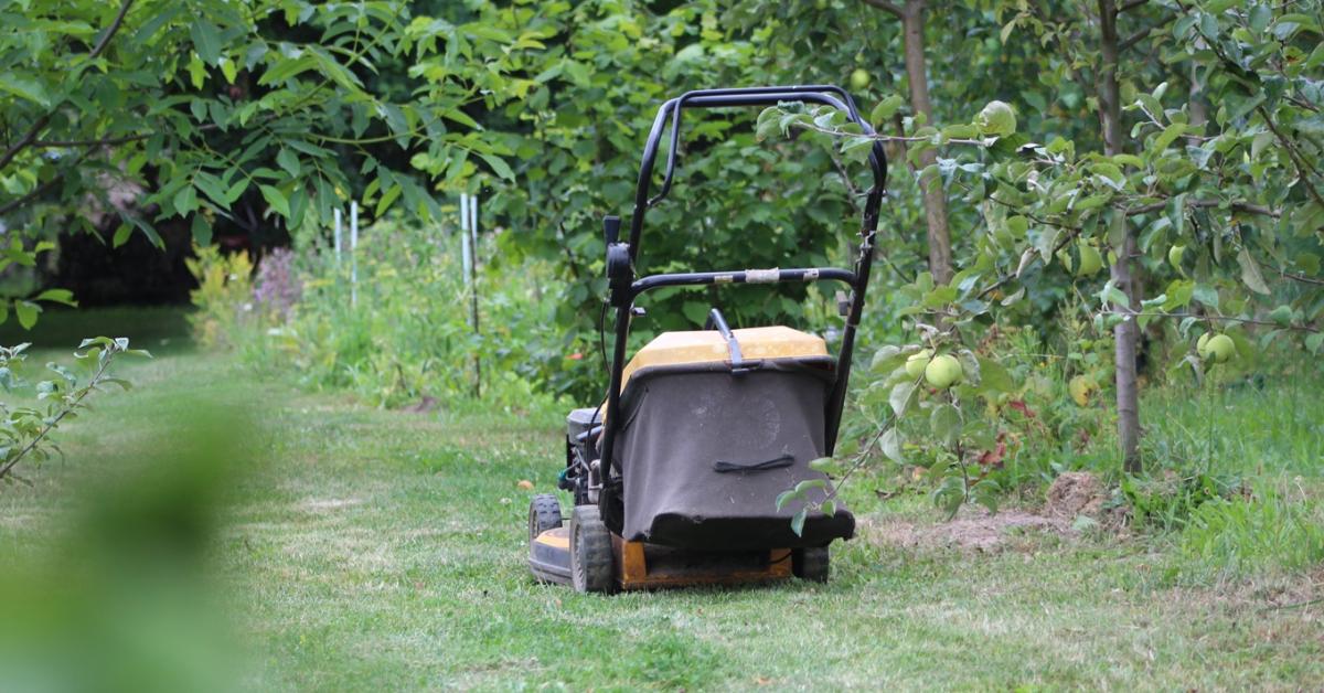 Időjárás: Fokozódik a kánikula Időjárás: Fokozódik a kánikula