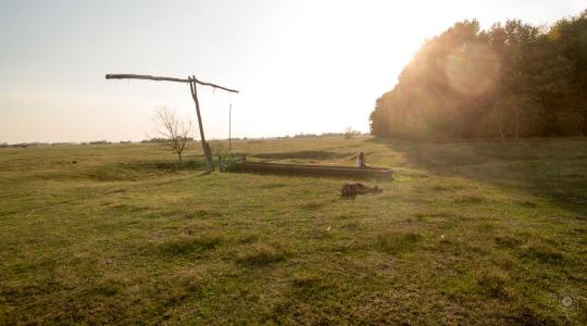 Európa aszály-válságövezetévé vált az Alföld: Drasztikus földhasználat-váltást sürgetnek a kutatók Európa aszály-válságövezetévé vált az Alföld: Drasztikus földhasználat-váltást sürgetnek a kutatók