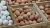 Kitört a káosz az európai tojáspiacon
