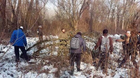Ne hagyjuk, hogy csendben eltűnjön ez a veszélyeztetett növényünk