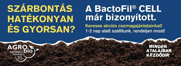 szárbontás