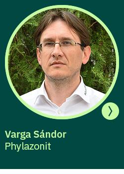 szárbontás