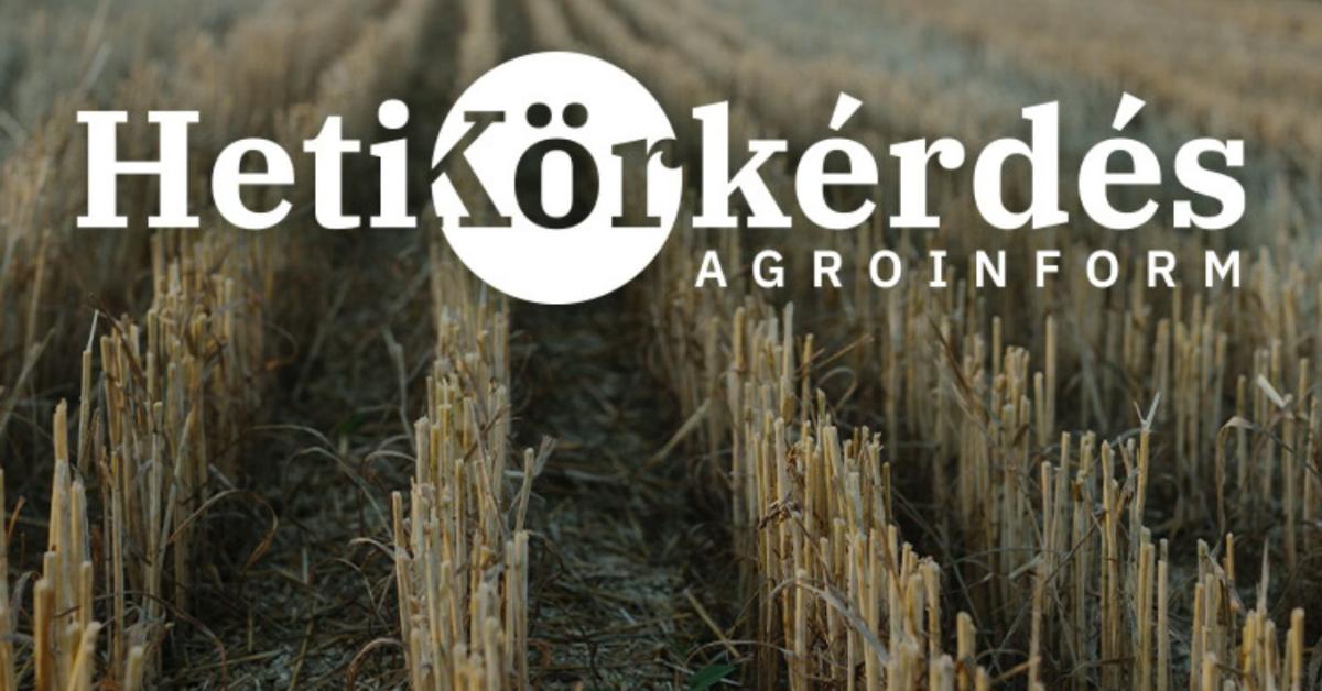 Melyek a szakszerű szárbontás kritériumai? – Heti Körkérdés