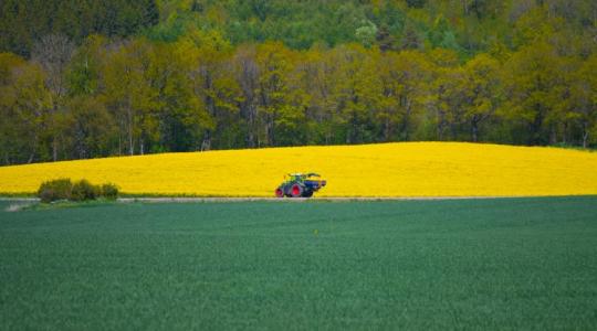 Kijózanító elemzés: Miért nem működik már az agrárium? Kijózanító elemzés: Miért nem működik már az agrárium?