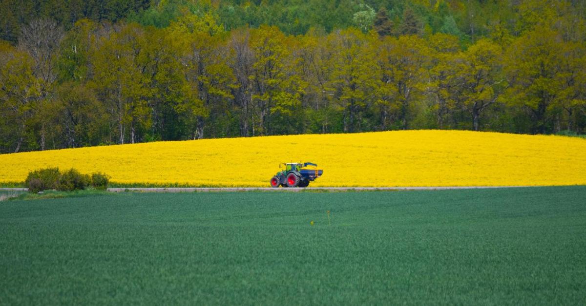 Kijózanító elemzés: Miért nem működik már az agrárium?