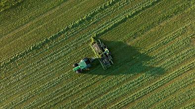 Krone